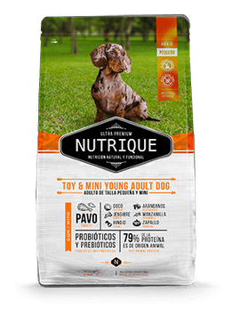 NUTRIQUE TOY & MINI ADULTO 3 KG