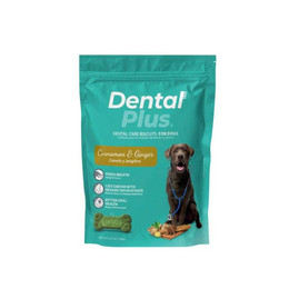 DENTAL PLUS CARE CANELA JENGIBRE 180 GR