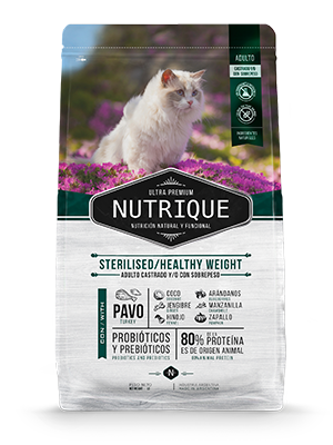 NUTRIQUE GATO ADULTO STERILISED 2 KG - MASKOTICAS.CL.png