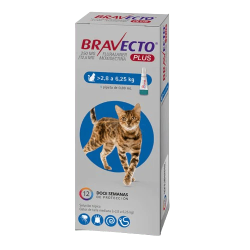 BRAVECTO GATOS PLUS 2,8 A 6,25 KG - bravecto-plus-pipeta-gato-28-625-kg-908289_5000x.webp