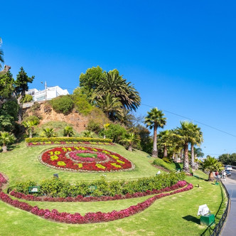 Imagen de la sección